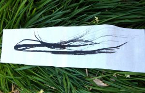 12698400_776771165791407_5230889141272707068_o (1)